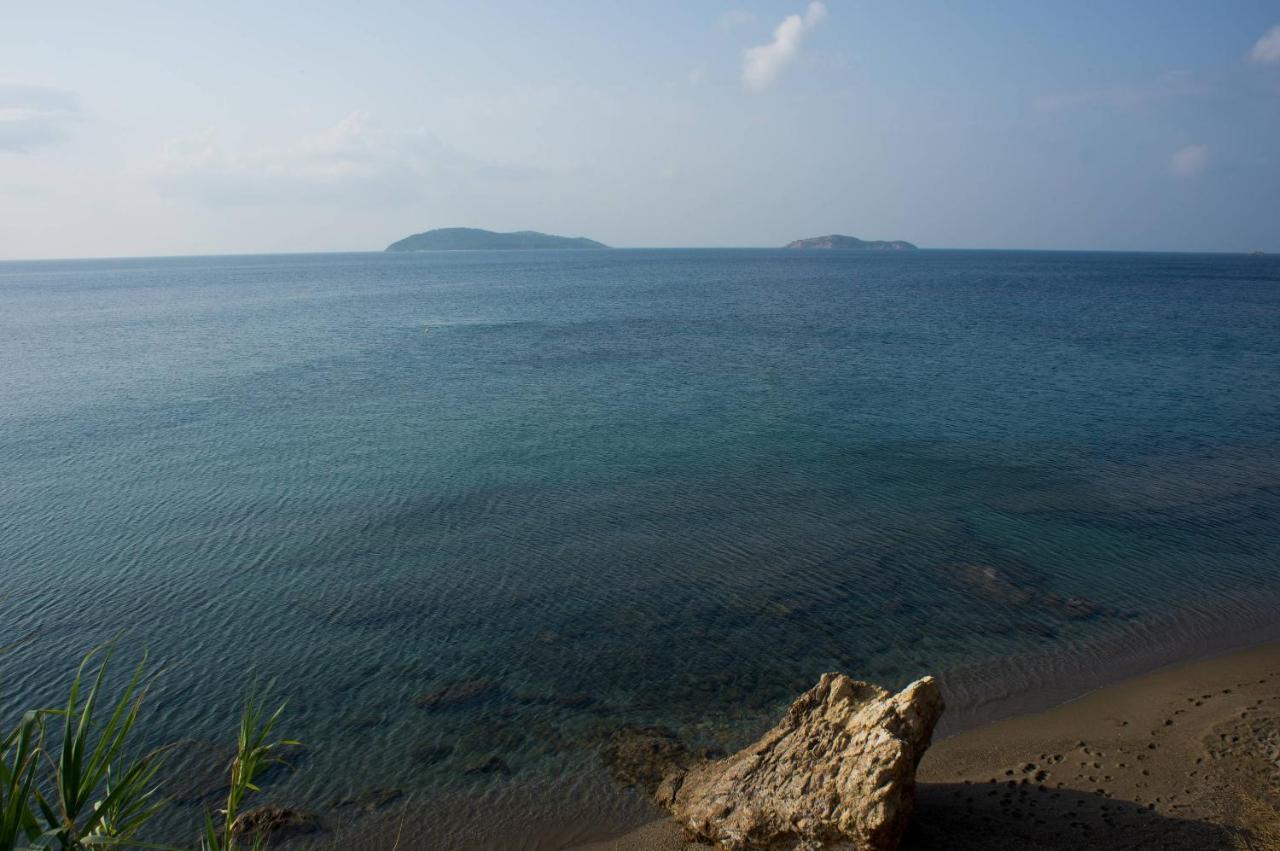 Aphrodite Skiathos Мегали-Аммос Экстерьер фото